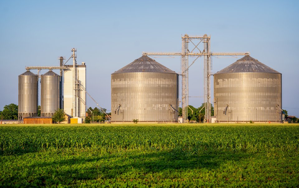Kazakhstan Strengthens Agro-Industrial Ambitions with Major Oilseed Processing Investments