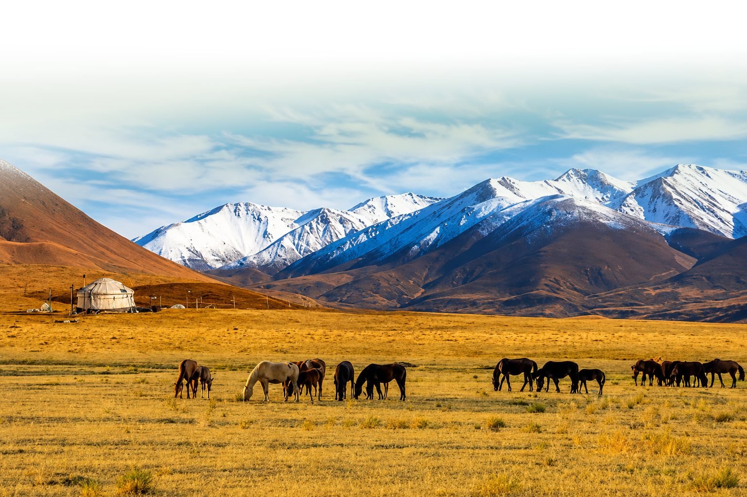 Discover Kazakhstan — A Journey Through Mountains, Lakes, Canyons & Silk Road Heritage