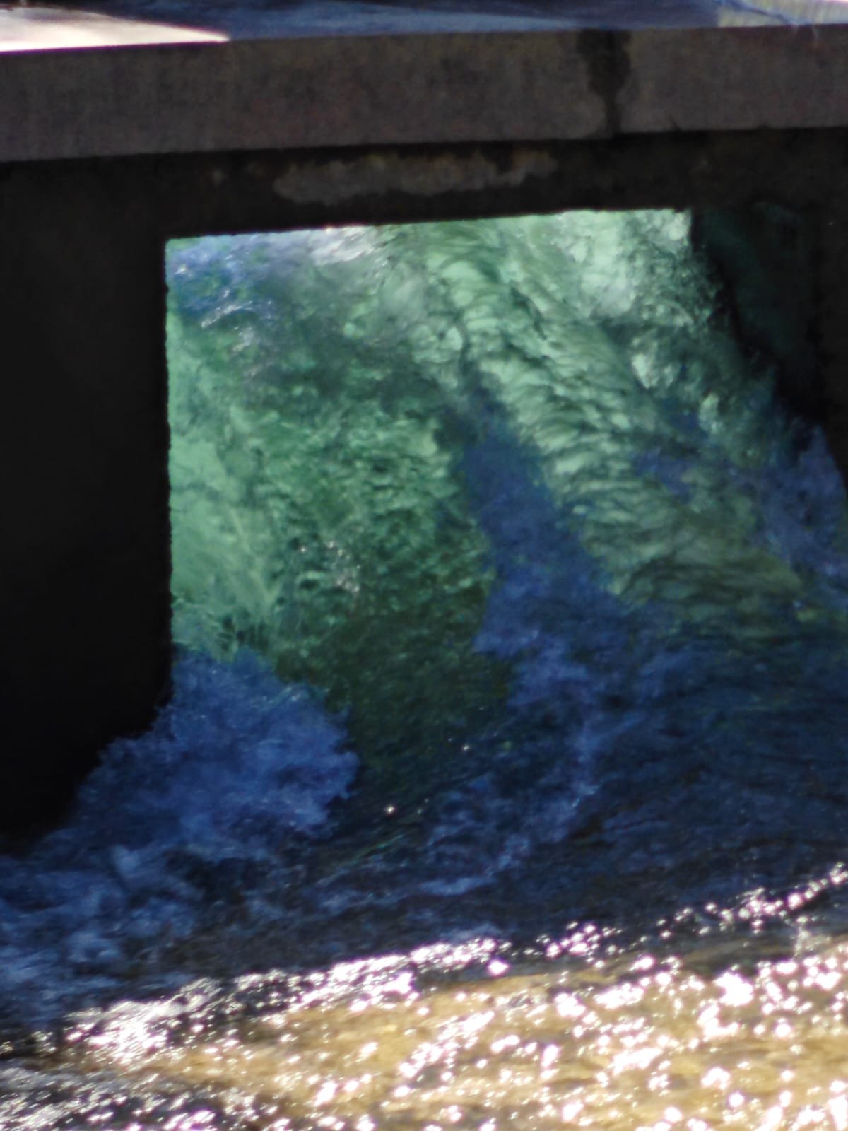 Graffiti Wall Almaty: Where Art Breathes Along the River