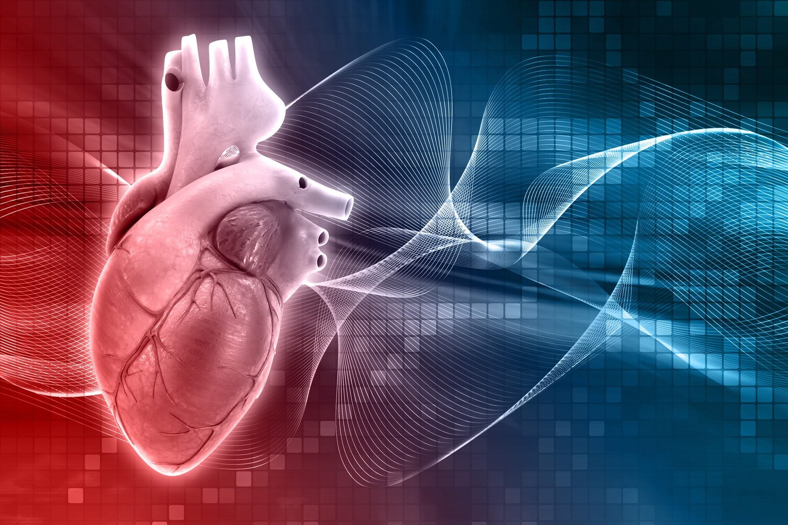 Dr. KMD’s Centre of Medical Excellence in Cardiovascular Surgeries & Treatments @ Royalcare International Hospitals Group