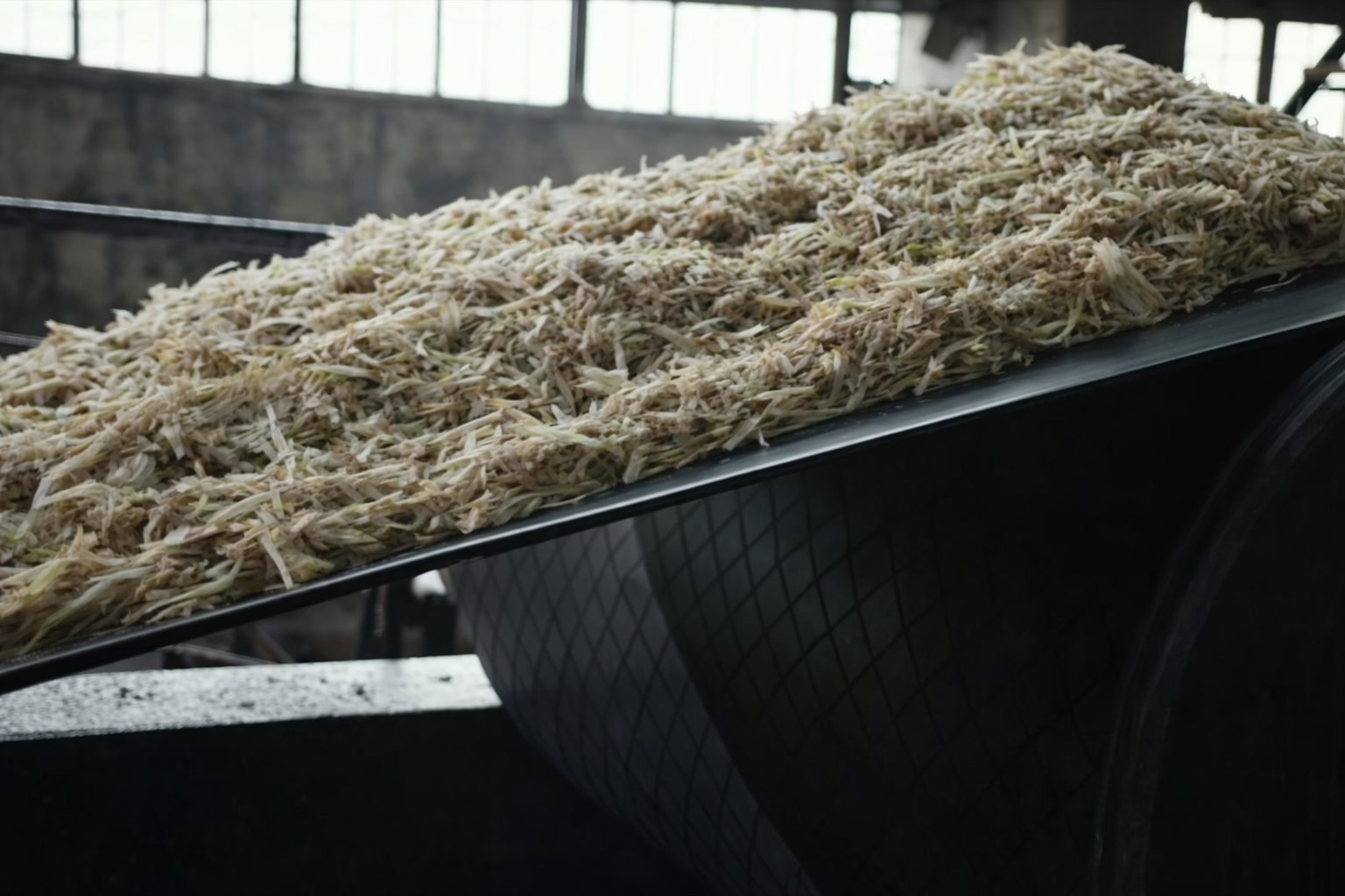 A Season of Abundance: Kazakhstan’s Record Grain & Oilseed Harvest