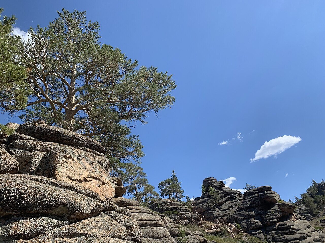 Bayanaul National Park — Kazakhstan’s First National Park & a Natural Wonderland