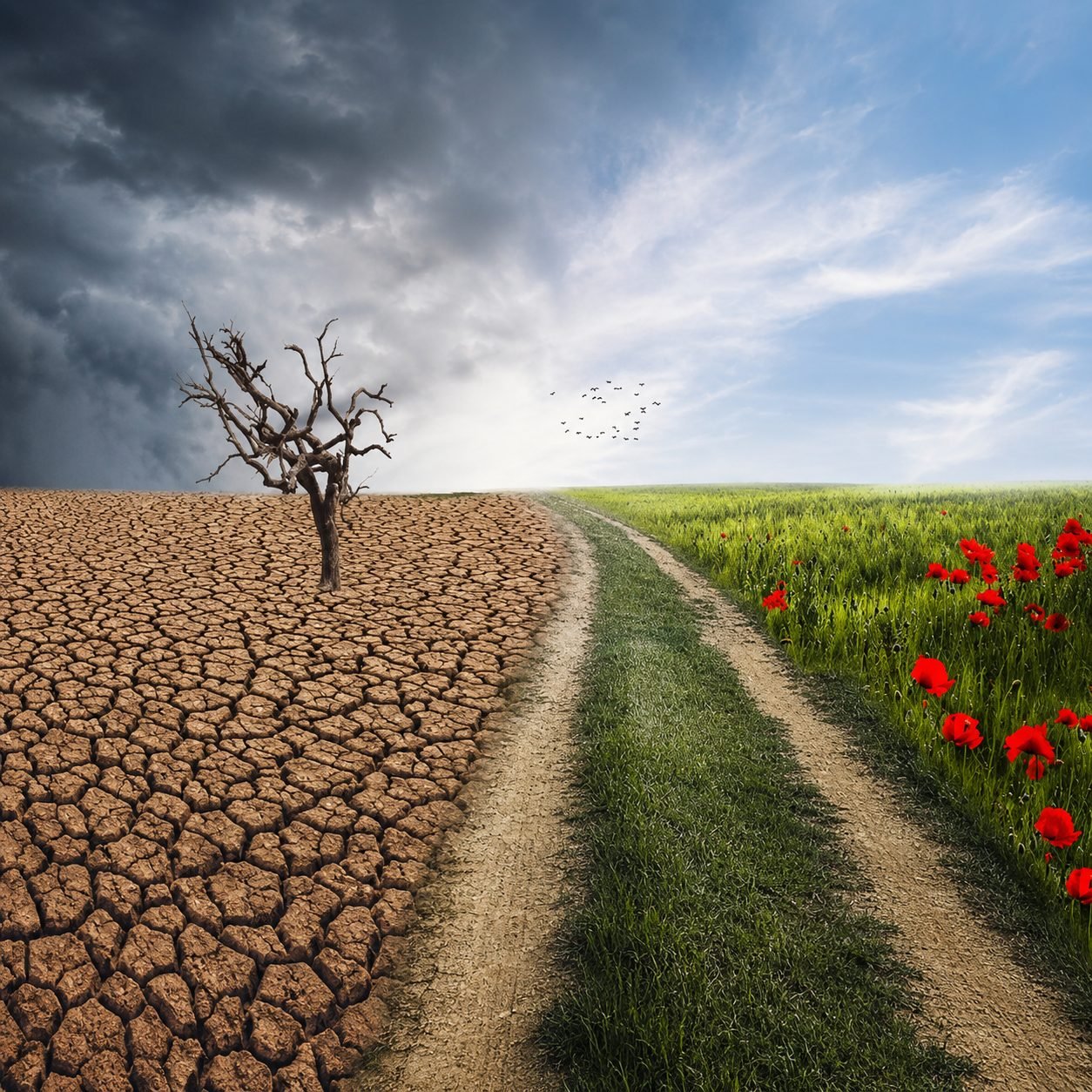 Harnessing Groundwater Resilience — How Hydroclimatic Science Can Transform Kazakhstan’s Agricultural Future