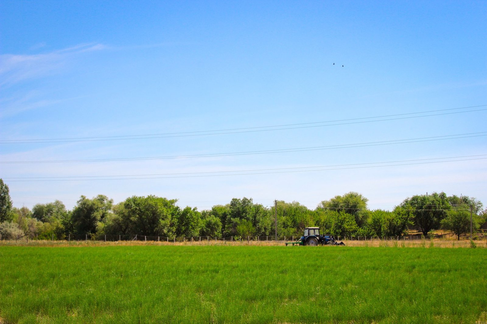 Kazakhstan Champions a New Chapter of Turkic Economic Integration