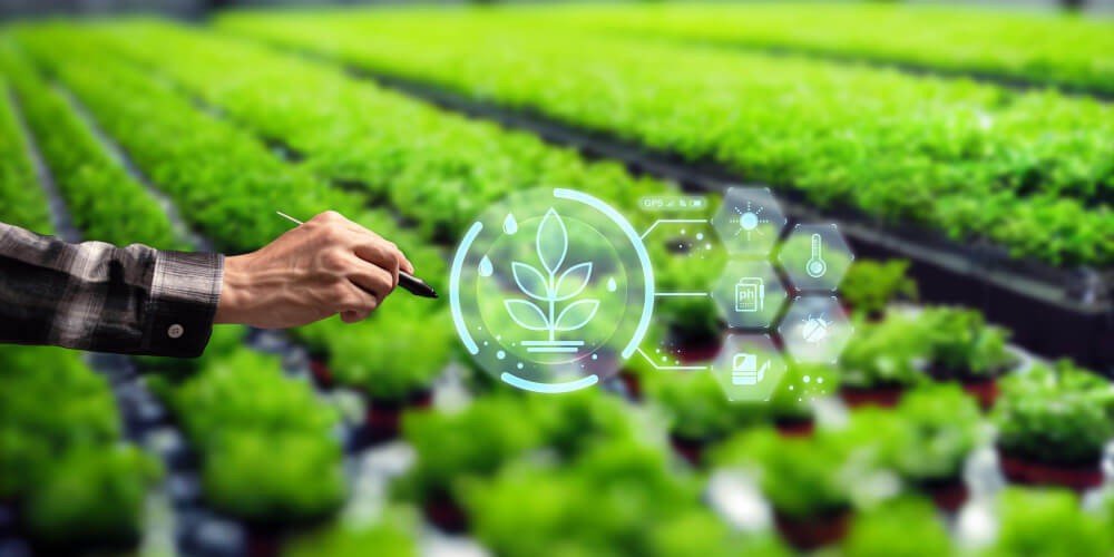 Kazakhstan Strengthens Agricultural Future With $150 Million High-Tech Greenhouse Initiative in Shymkent