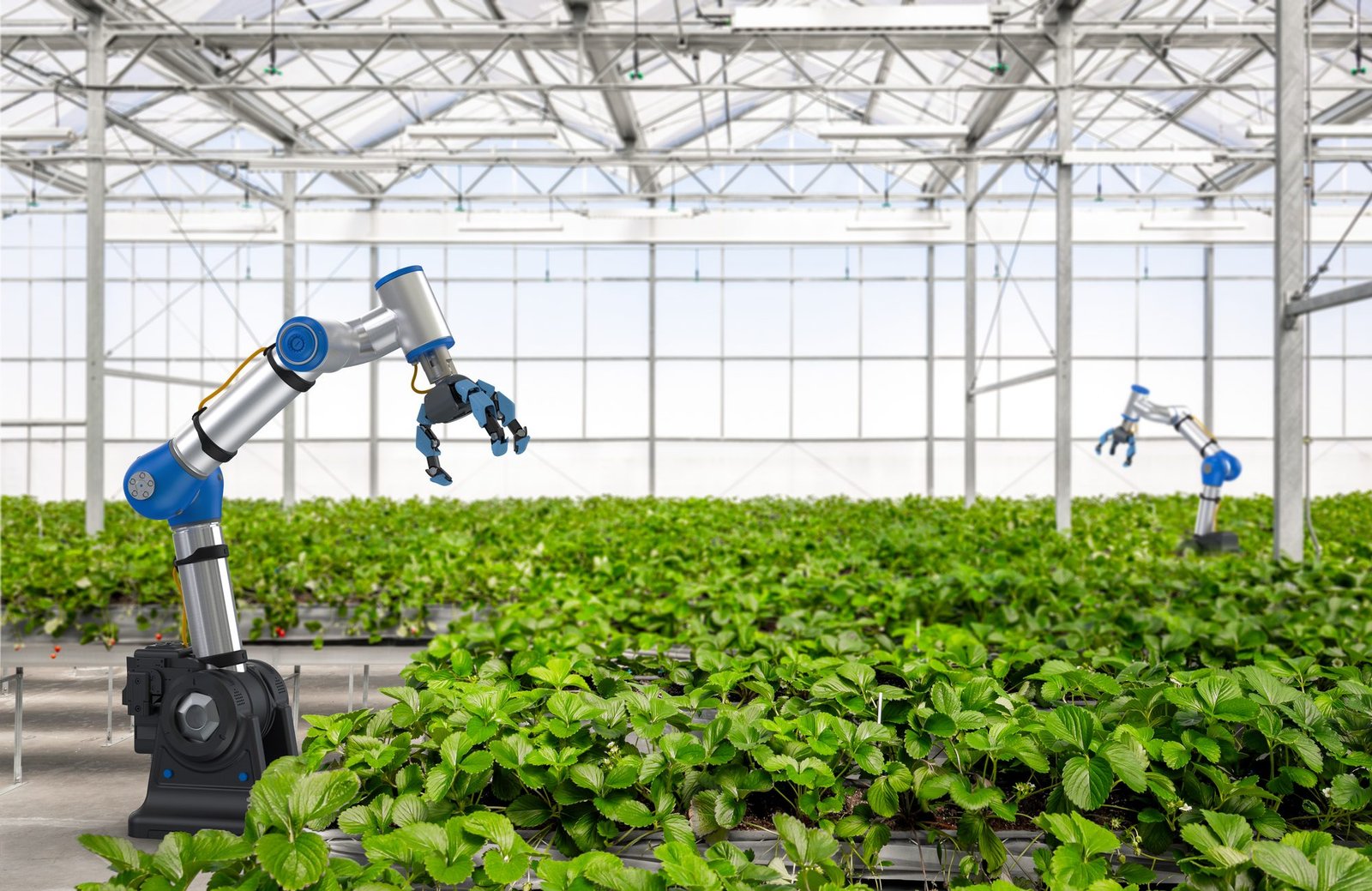 Kazakhstan Strengthens Agricultural Future With $150 Million High-Tech Greenhouse Initiative in Shymkent