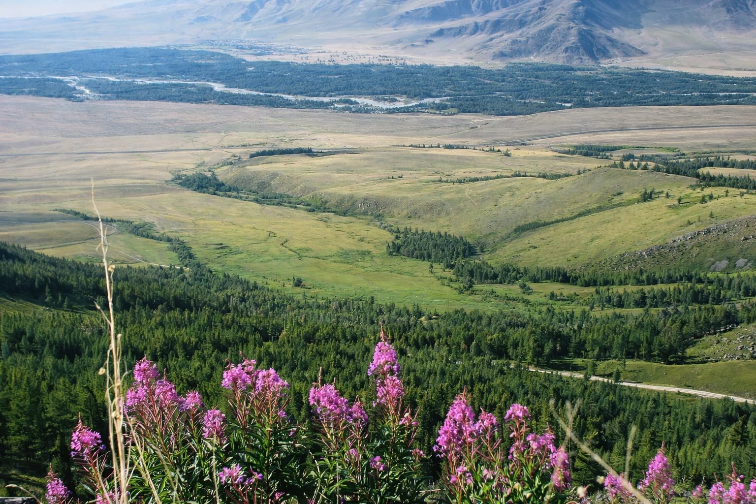 South Korea Sees Surge in Tourist Interest in Kazakhstan