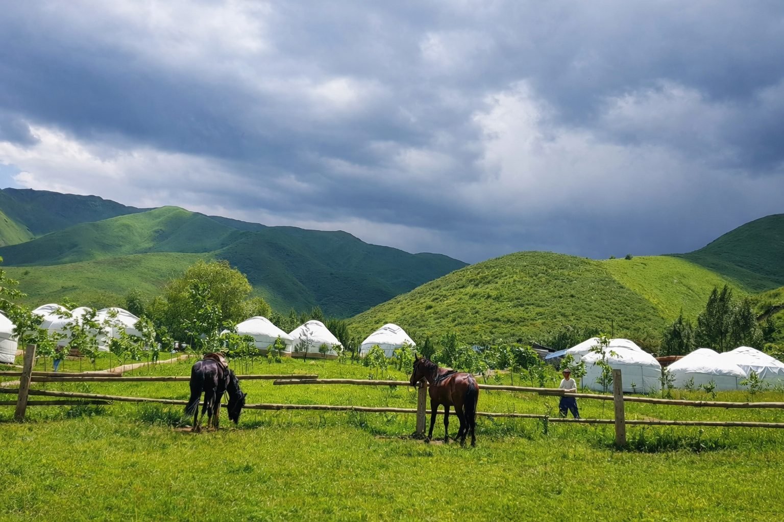 Yurts, Canyons & Camels: My Fascinating Kazakhstan Adventure